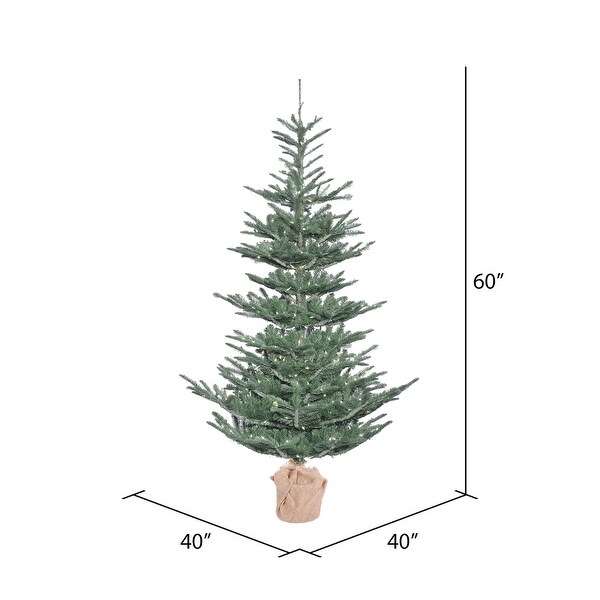 Vickerman 5' Alberta Blue Spruce Artificial Christmas Tree，Warm White Duralit LED Lights