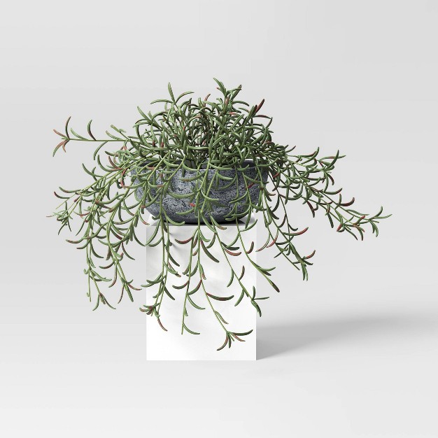 Fish Hook Sedum Artificial Plant - Threshold Designed With Studio Mcgee