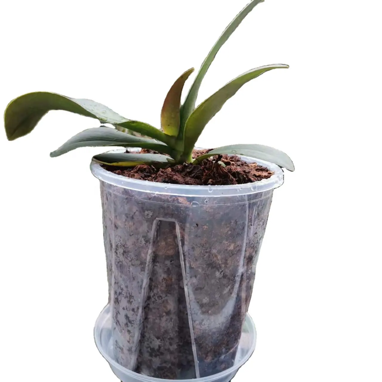 Clear Plastic Flower Pot Planter Orchid Pot with Holes Tall Plant Pots for Home Office Desk Garden Flower Shop Decoration