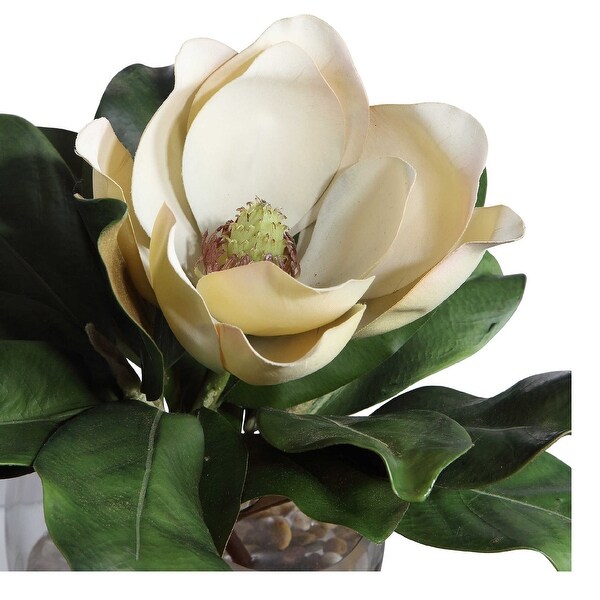 Magnolia Blossom Artificial Arrangement in a Glass Vase