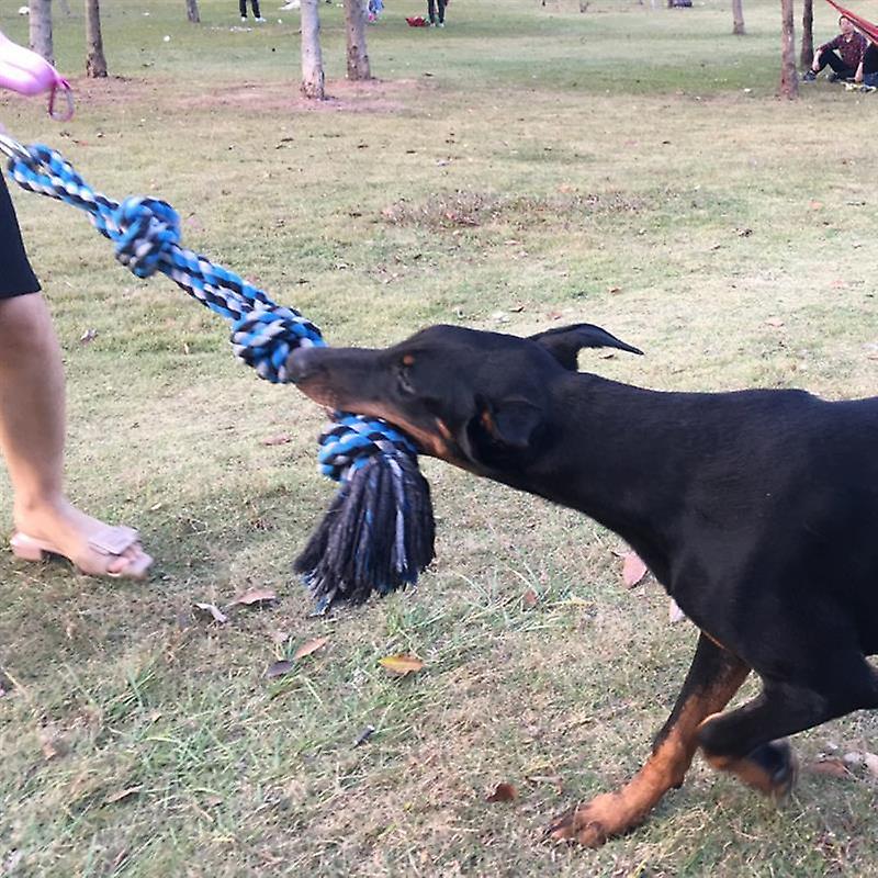 Spring pole tug of war dog rope toy