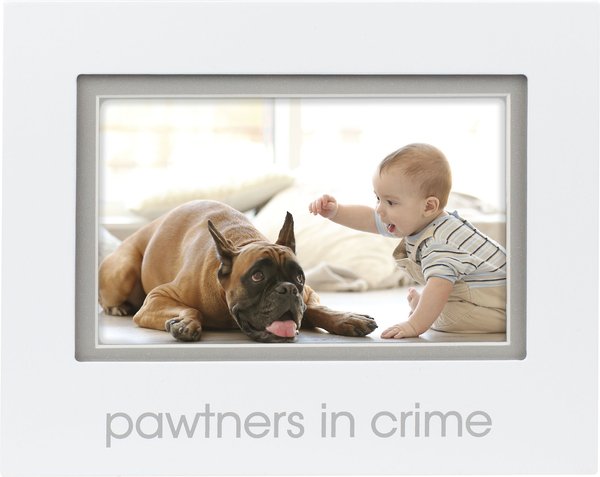 Pearhead Pawtners In Crime Sentiment Frame， 6 x 4-in