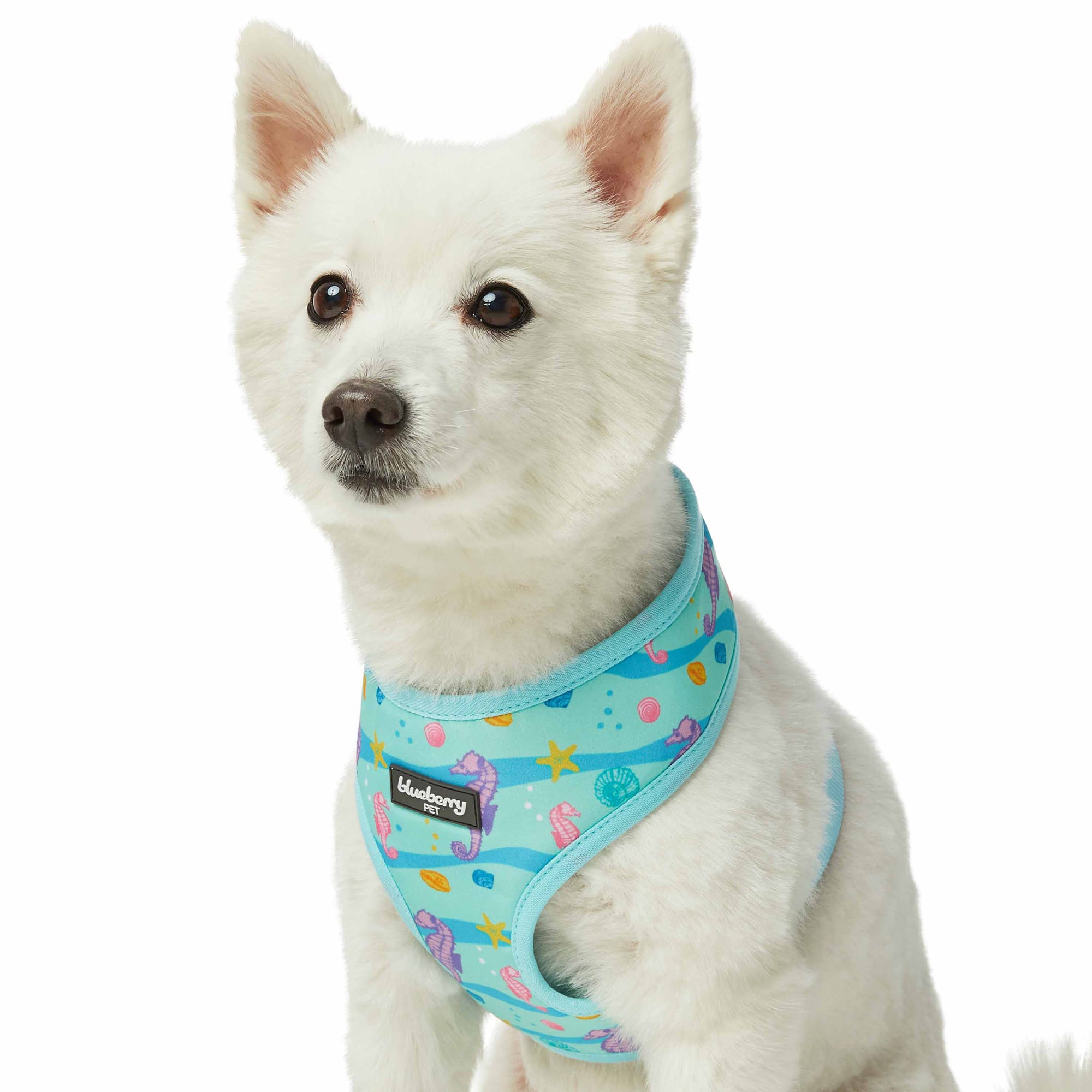 Blueberry Pet Soft  Comfy Seahorse and Friends Print Adjustable Dog Harness Vest， X-Small