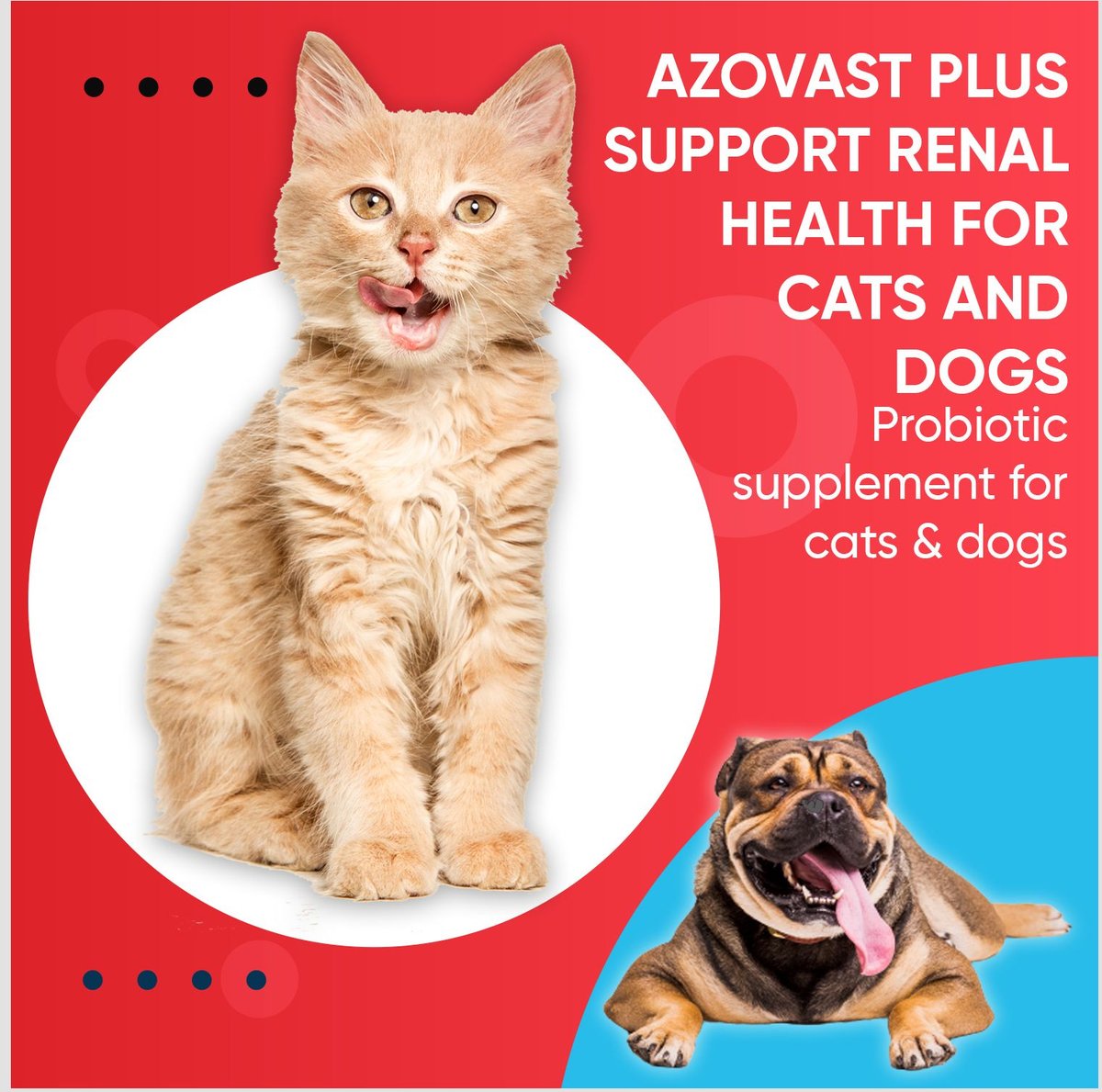 Pet Health Pharma Azovast Plus Powder Kidney Supplement for Dogs and Cats， 6-oz jar