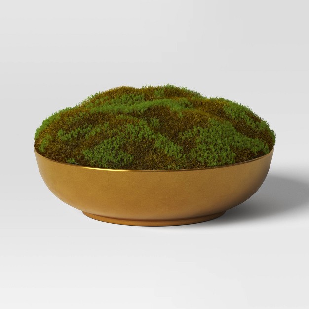 Moss In Gold Bowl - Threshold