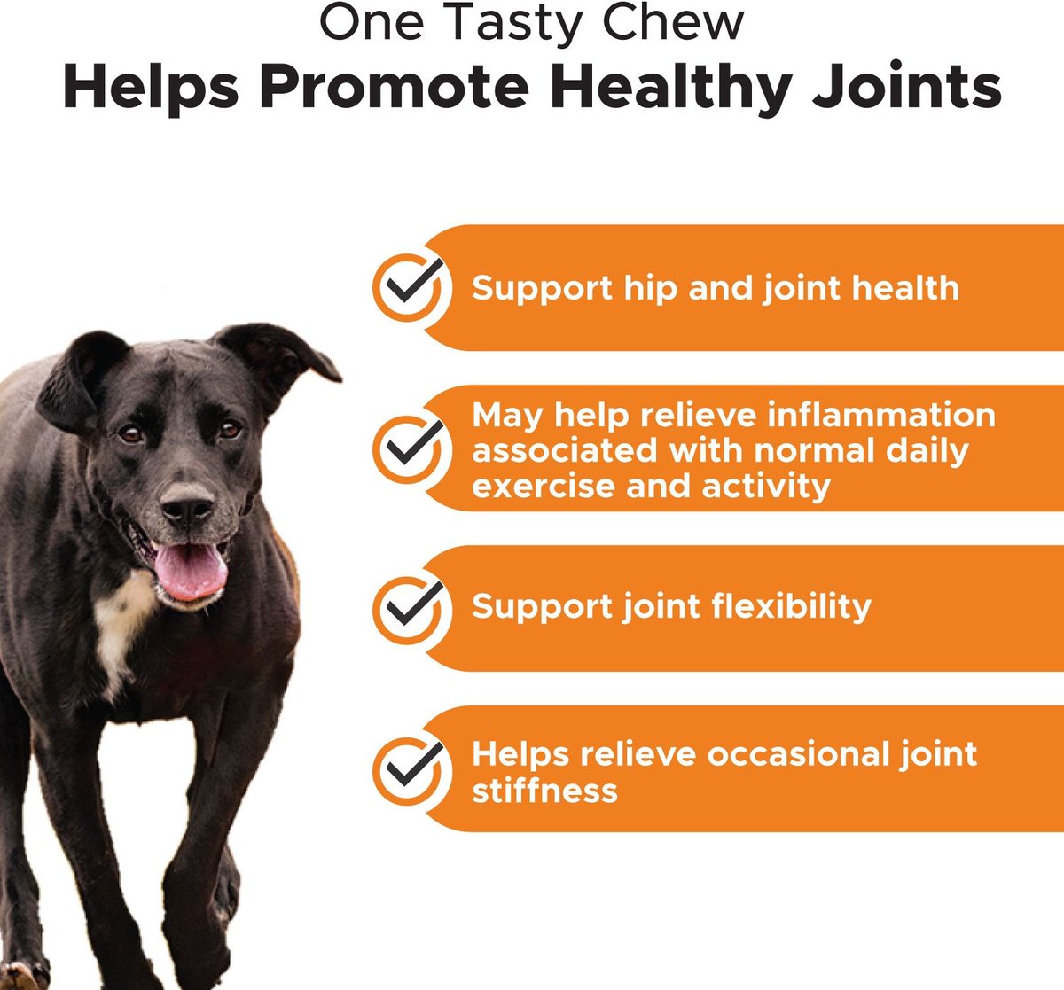 PetHonesty Hip + Joint Health Turmeric Pumpkin and Coconut Flavored Soft Chews Joint Supplement for Dogs