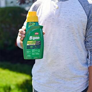 Ortho Weed B gon 32 fl. oz. Lawn Weed Killer Concentrate Kills Clover and Dandelion Down to the Roots 042331005