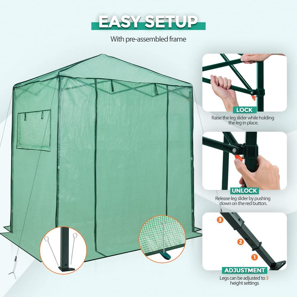 EAGLE PEAK 6'x4' Portable Walk-in Greenhouse Instant Pop-up Indoor Outdoor Plant Gardening Green House Canopy