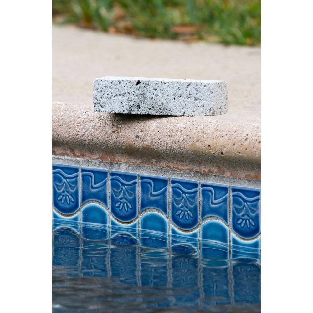 HDX Pumice Stone for Swimming Pools Spas and other Surfaces 62665