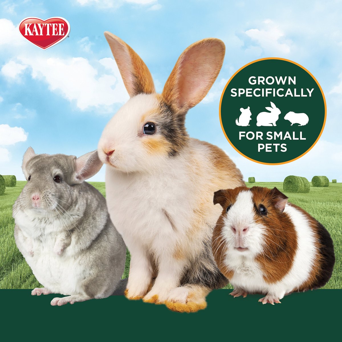 Kaytee Timothy Hay Plus Variety Pack Small Animal Food， 3-pack