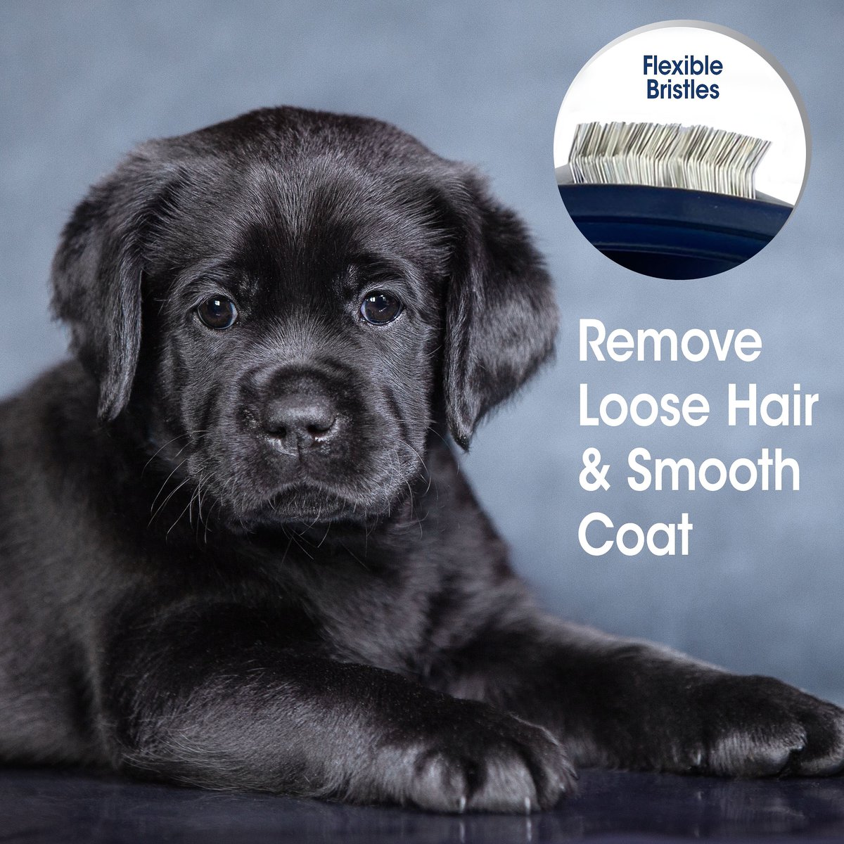 Four Paws Magic Coat Professional Series Gentle Slicker Brush