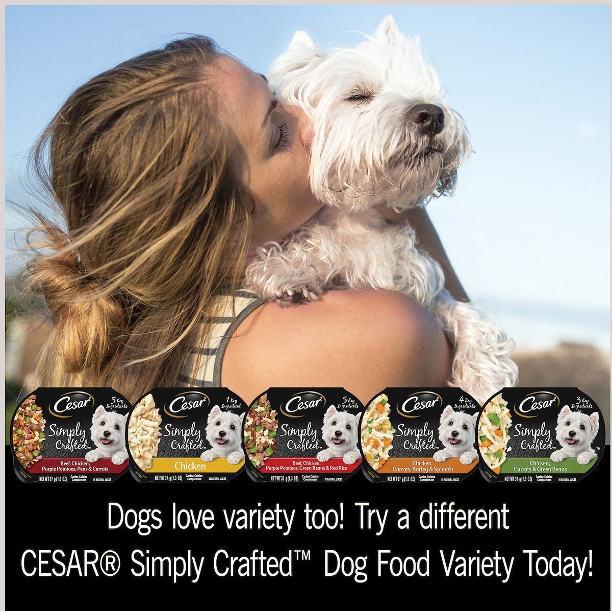 Cesar Simply Crafted Chicken， Carrots， Barley and Spinach Limited-Ingredient Wet Dog Food Topper