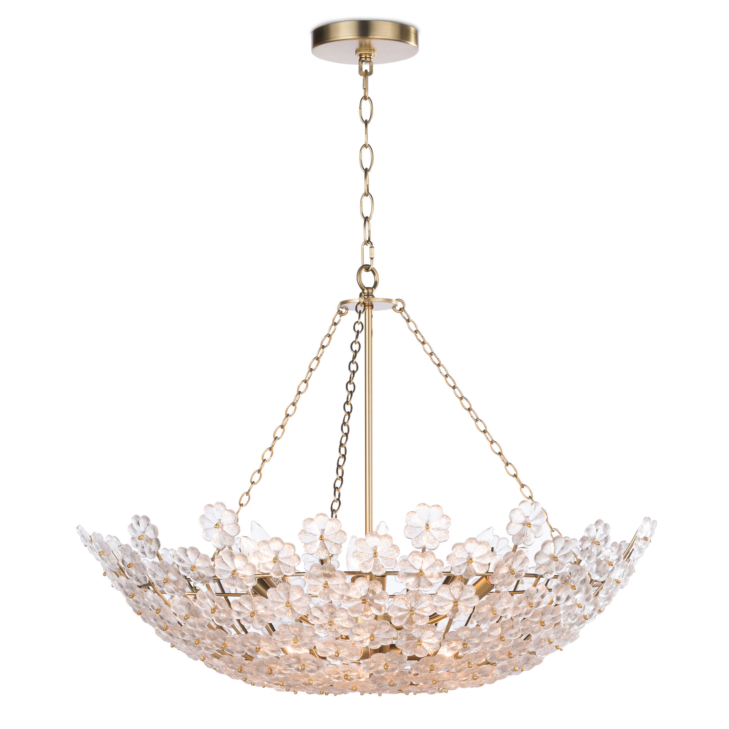 Charlotte Chandelier