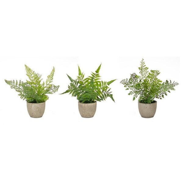 Potted Artificial Fern Plants