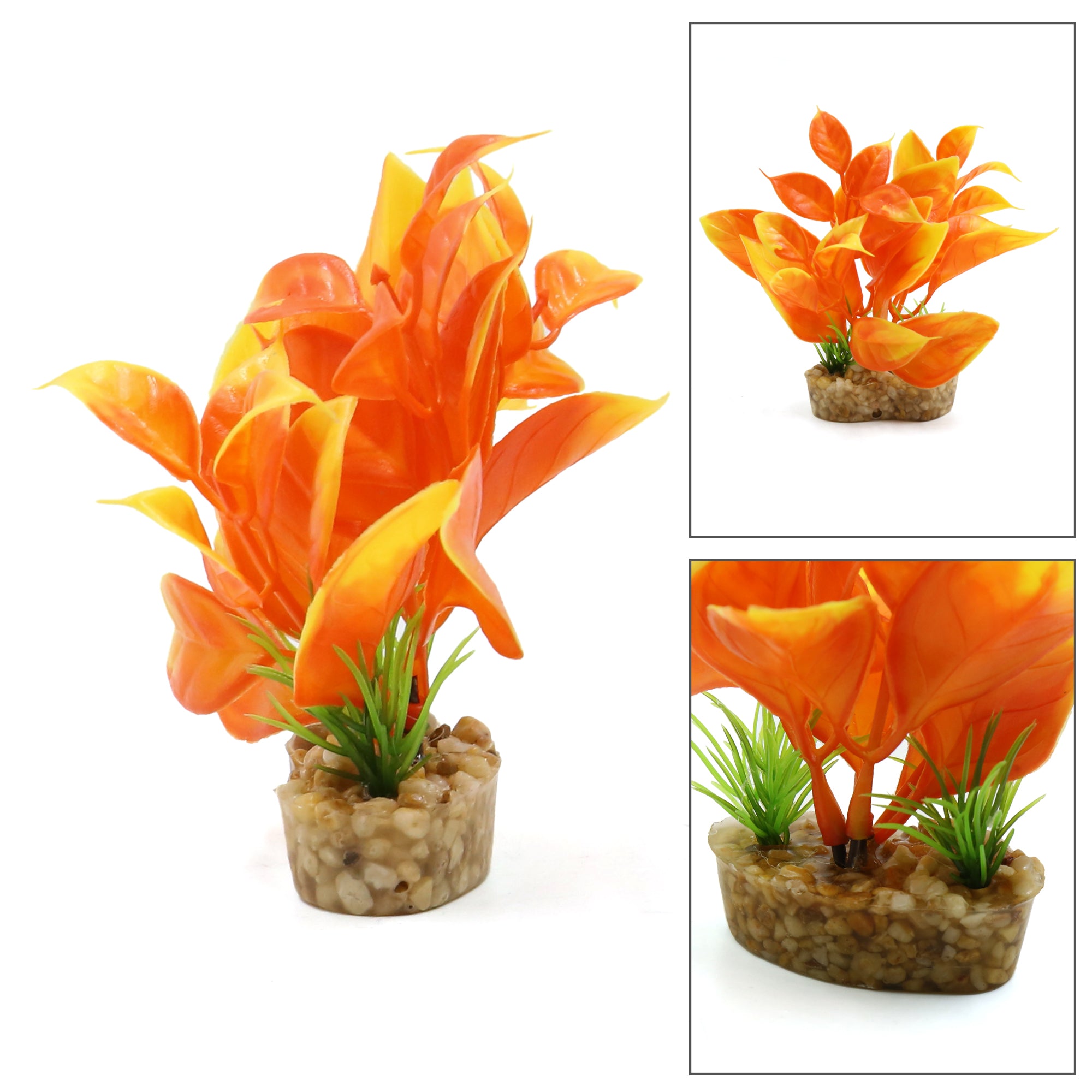 Ceramic Base Plastic Mini Plant Terrarium Habitat for Reptiles Amphibians