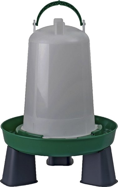 My Favorite Chicken Elevated Bayonet Poultry Drinker， Green， 1.5-gal