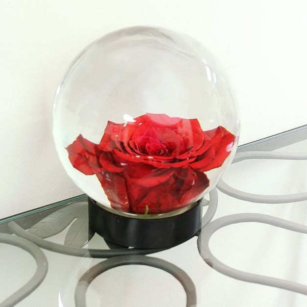 Glass Globe Vase Clear Achla Designs