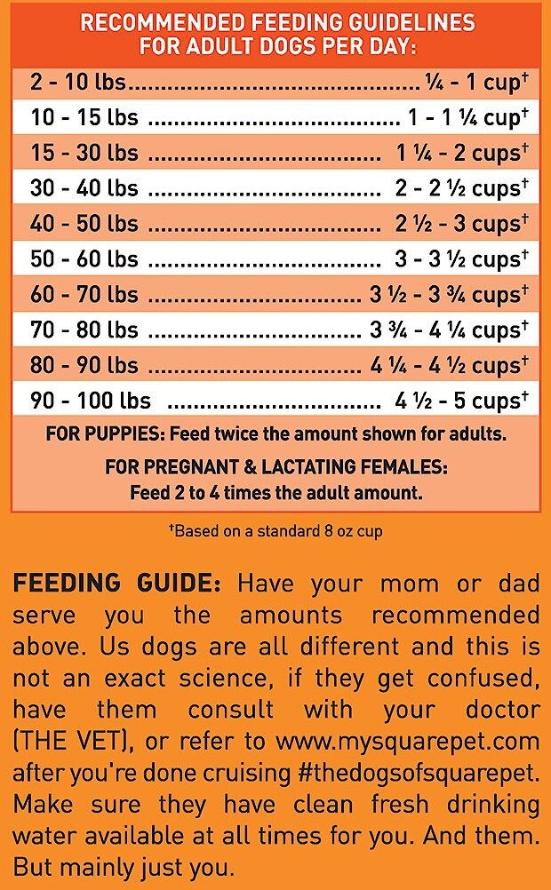 SquarePet VFS Active Joints Hip and Joint Formula Dry Dog Food