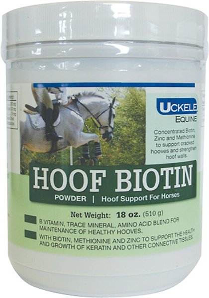 Uckele Hoof Biotin Powder Horse Supplement， 18-oz jar