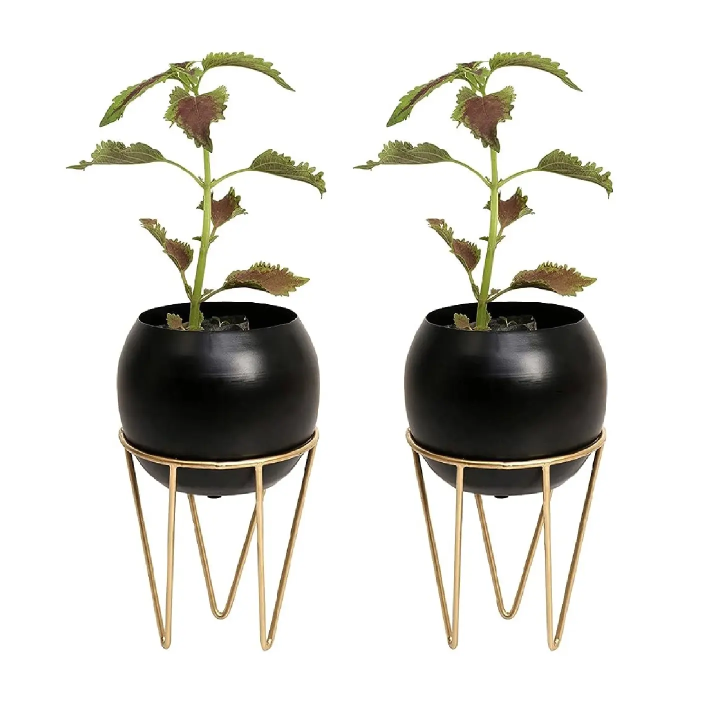 Excellent Design Metal Fancy White Planter With Gold Stand Round Shape Decorative Planter Pots Garden Ware metal Planter