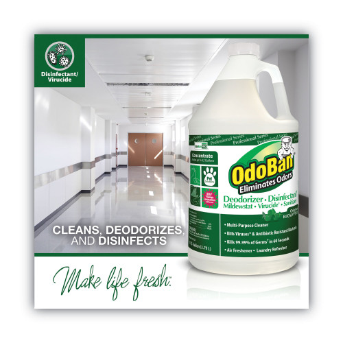 OdoBan Concentrated Odor Eliminator， Eucalyptus， 1 gal Bottle， 4/Carton (911062G4)