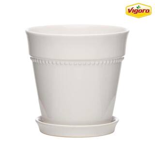 Vigoro 7.9 in. Ravanaey Small Glossy White Ceramic Planter (7.9 in. D x 7.9 in. H) With Drainage Hole and attached saucer CRM-081586