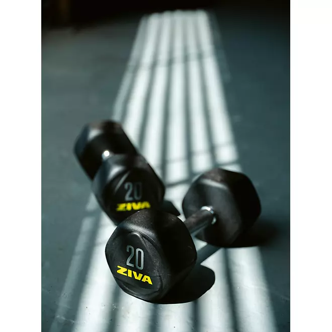 ZIVA Hexagon Weight Lifting Dumbbell Pair