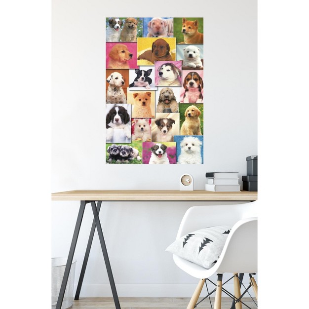 Trends International Keith Kimberlin Puppies Grid Unframed Wall Poster Prints