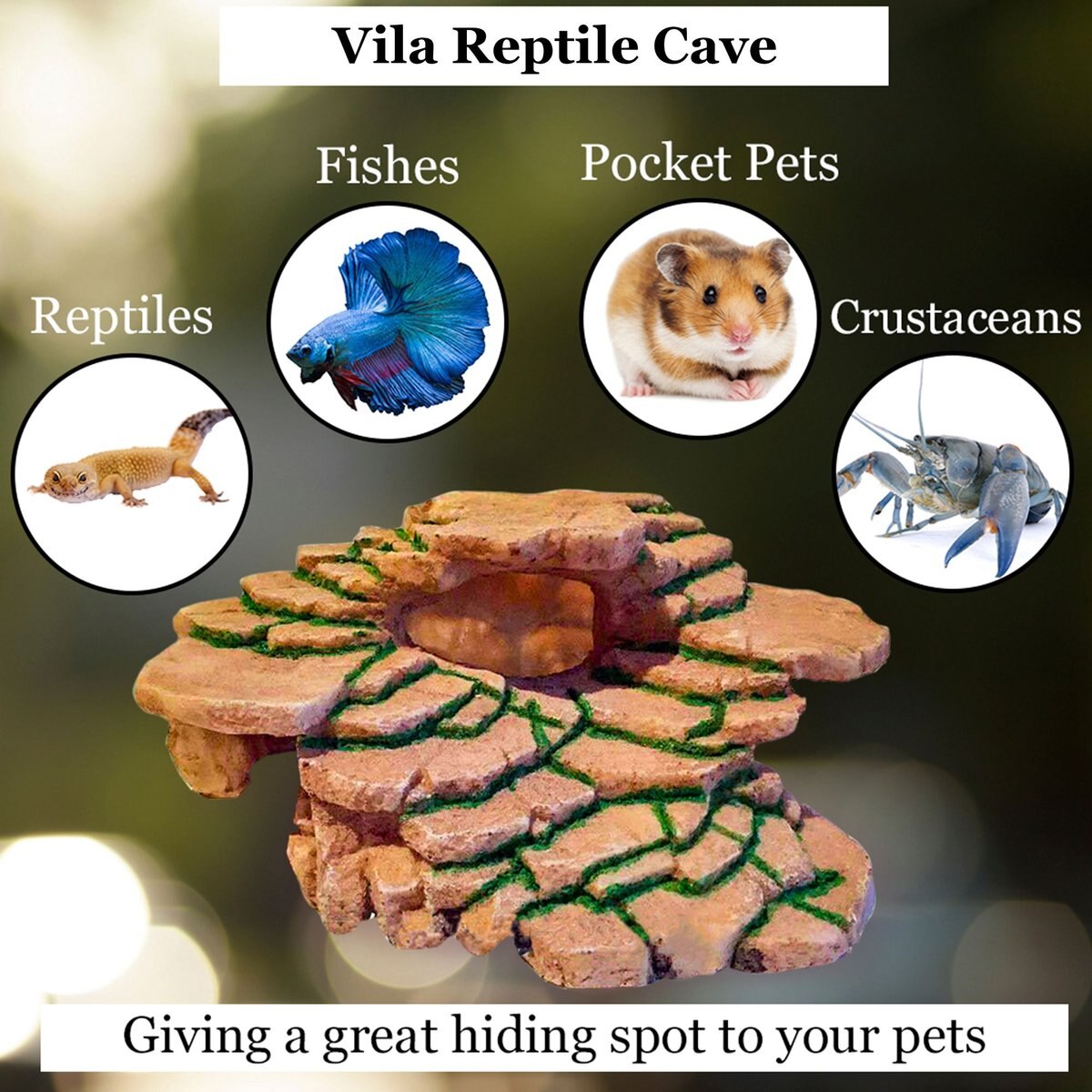 Vila Reptile Resin Cave