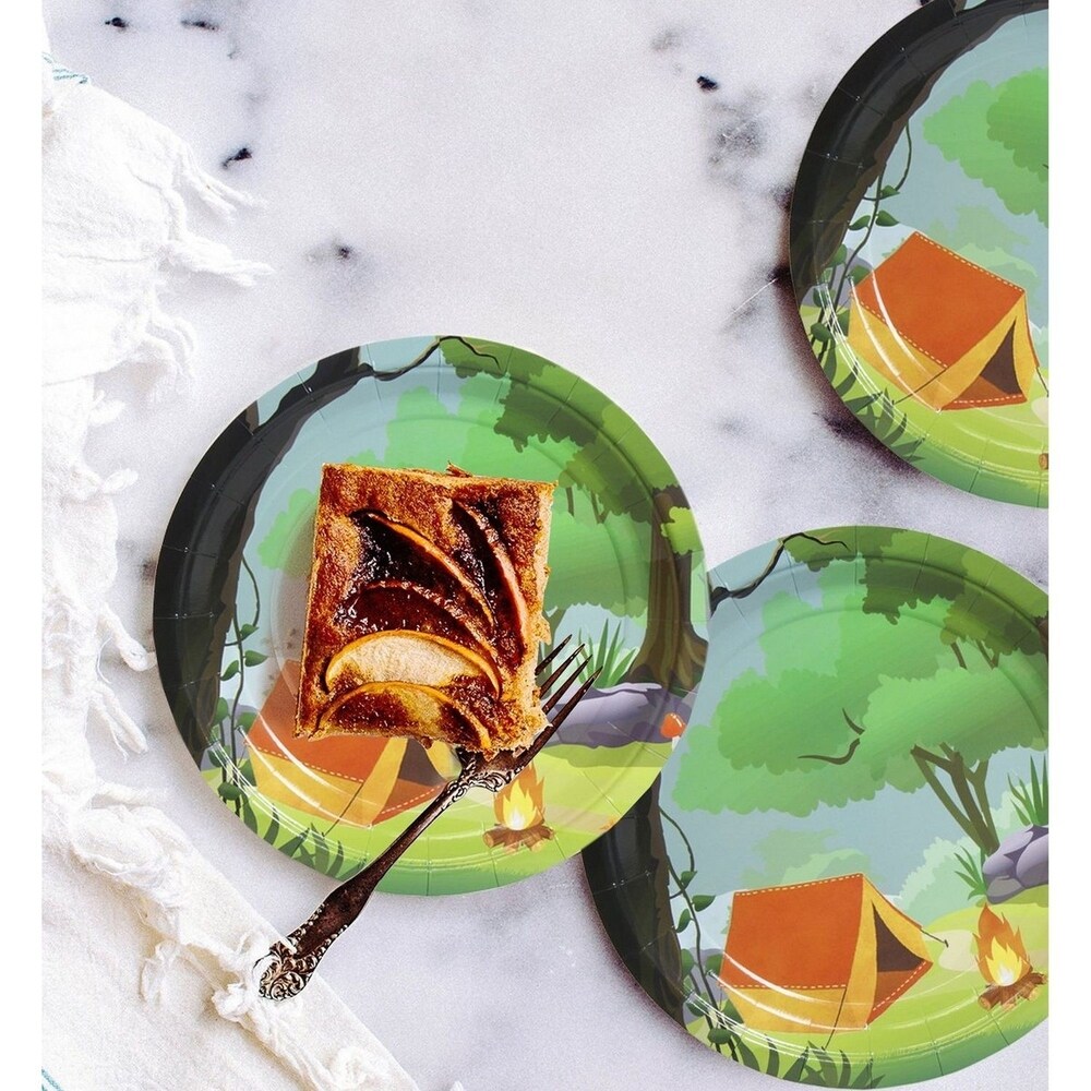 80 Pack Disposable Paper Plates  Camping Party Supplies for Dinner  9\