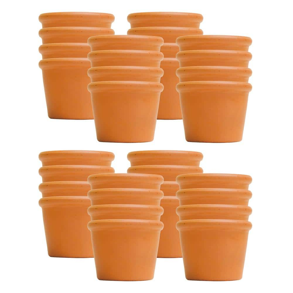 Pennington 3 in. x 2 in. Small Terra Cotta Clay Cylinder Pot (32-Pack) 100551429