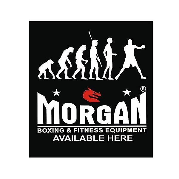 Morgan Evolution Banner