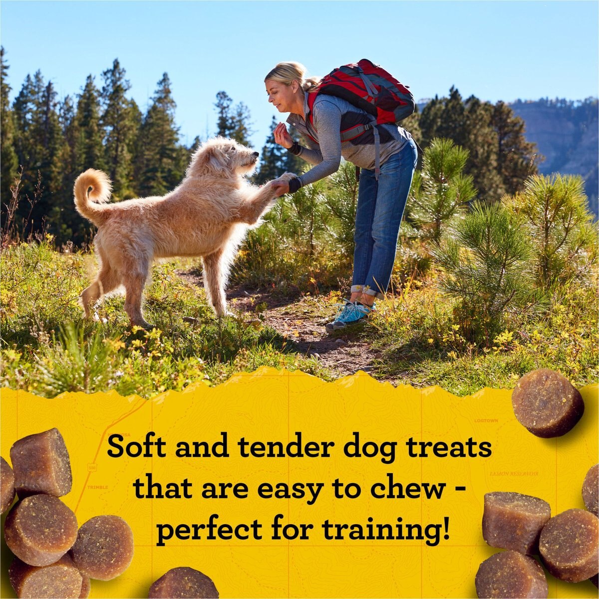 Zuke's Mini Naturals Salmon Recipe Training Dog Treats