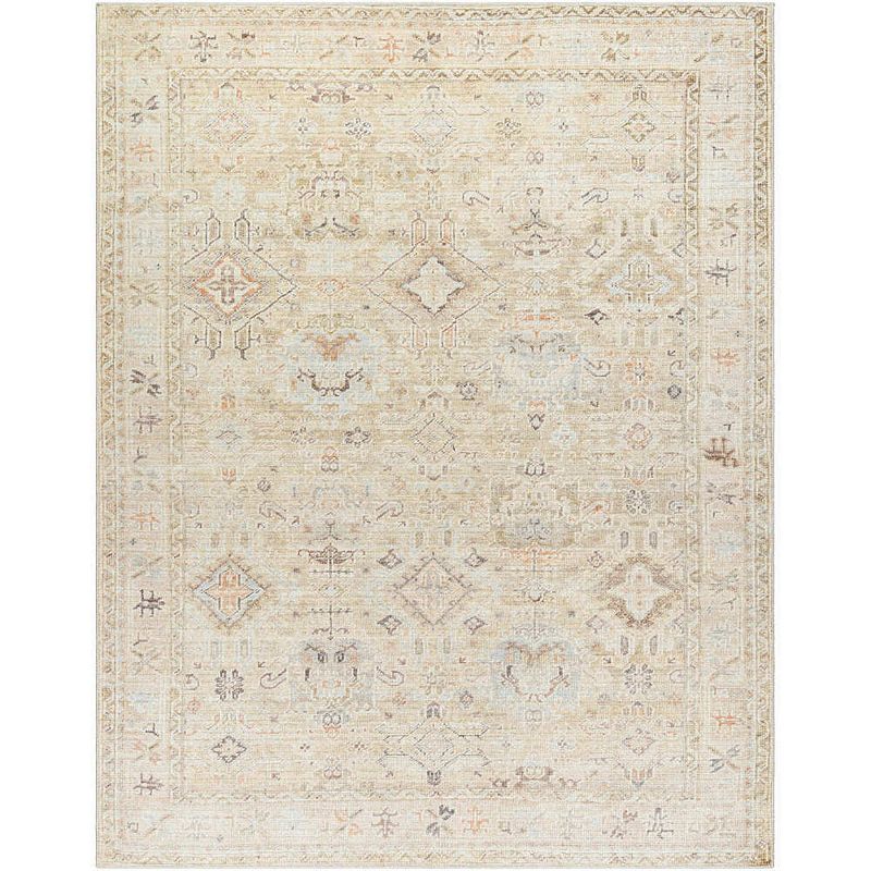 Crystall Traditional Area Rug