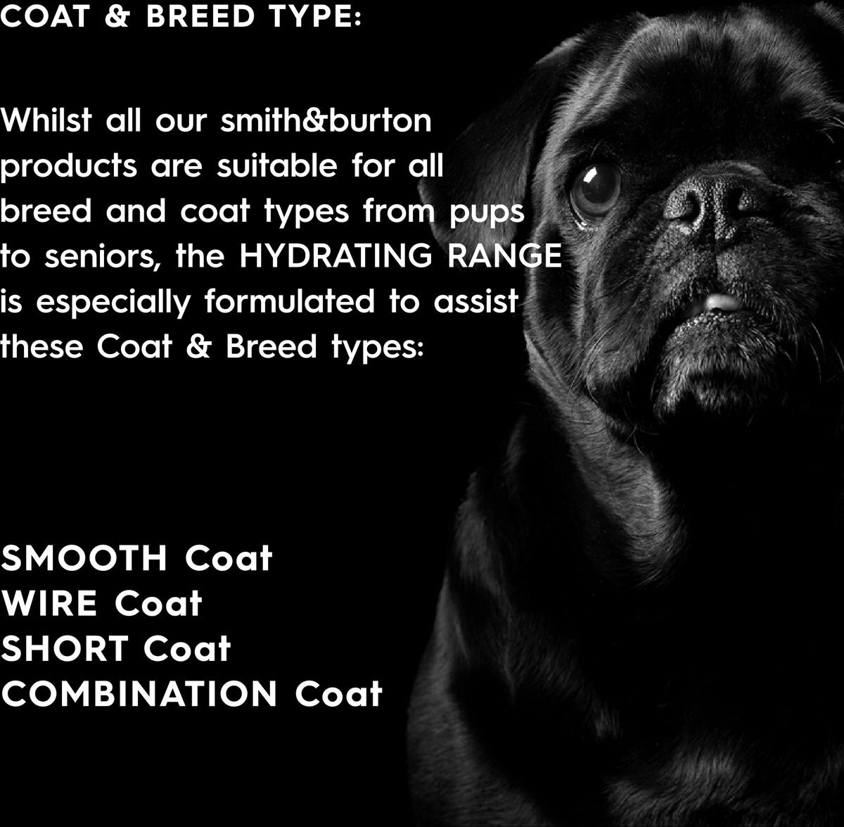 smithandburton Hydrating Dog and Cat Shampoo， Scent No.1