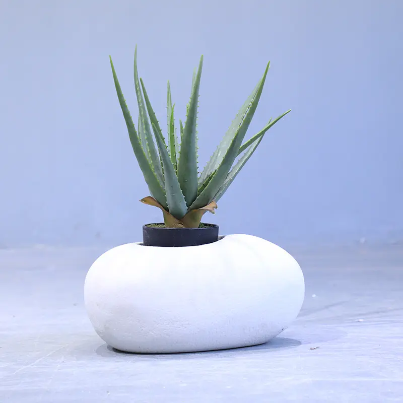 White Sandstone Plant Pot Aloe Turtle Leaf Setaria Pot Green Artificial Landscape