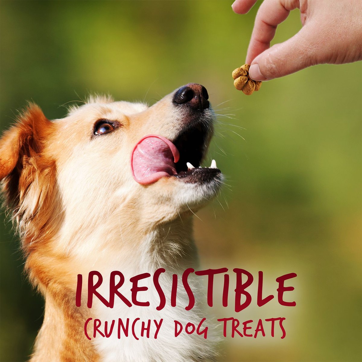 Fruitables Greek Strawberry Yogurt Flavor Crunchy Dog Treats