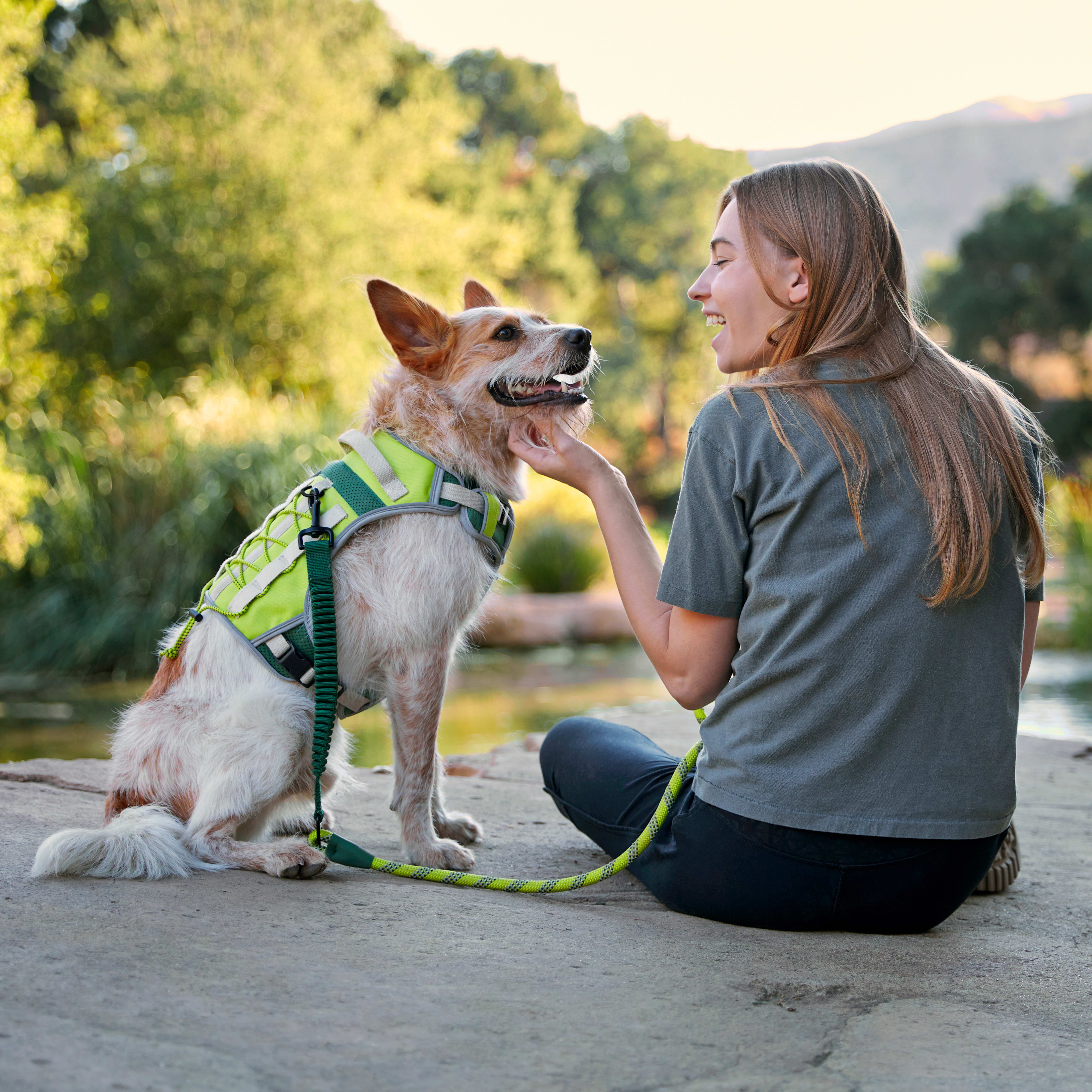 Backcountry x Petco The Rope Dog Lead， 6 ft.