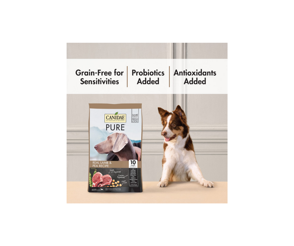 Canidae Grain Free PURE - All Breeds， Adult Dog Real Lamb Limited Ingr