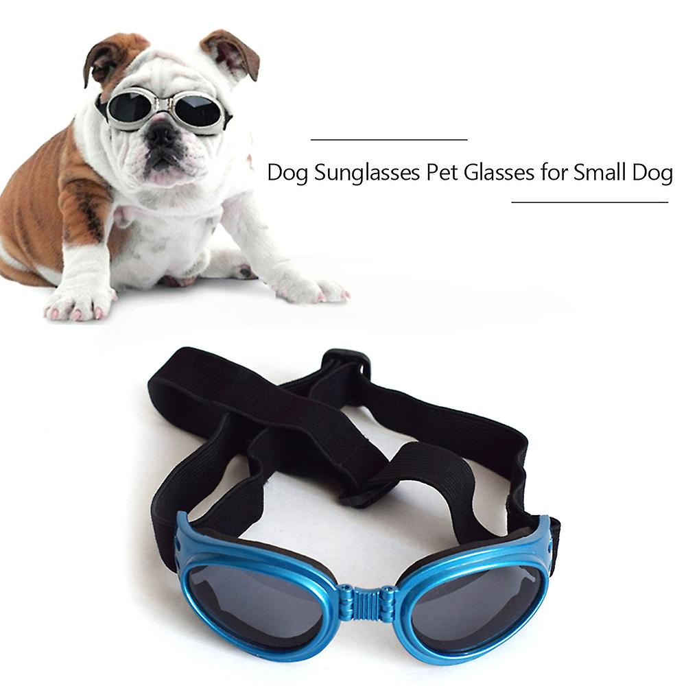 1 Dog Sunglasses Blue