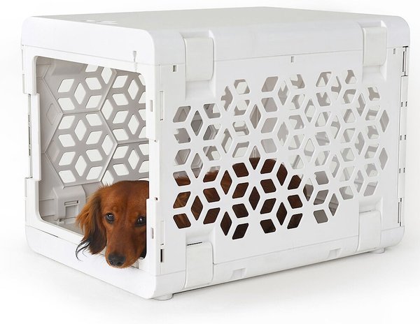 KindTail Pawd Collapsible Dog and Cat Crate