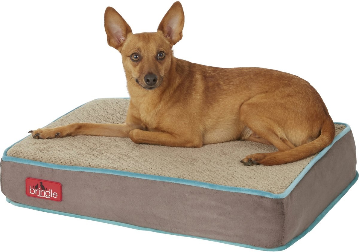 Brindle Plush Orthopedic Pillow Cat and Dog Bed w/Removable Cover