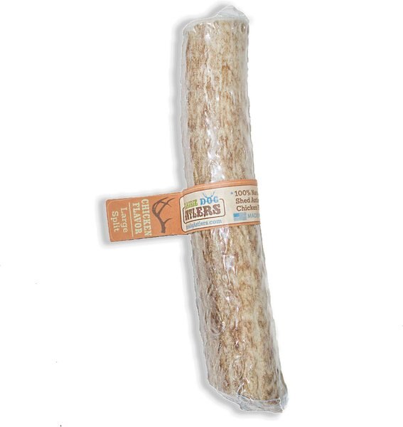 Prairie Dog Split Chicken Flavor Antler Dog Chew