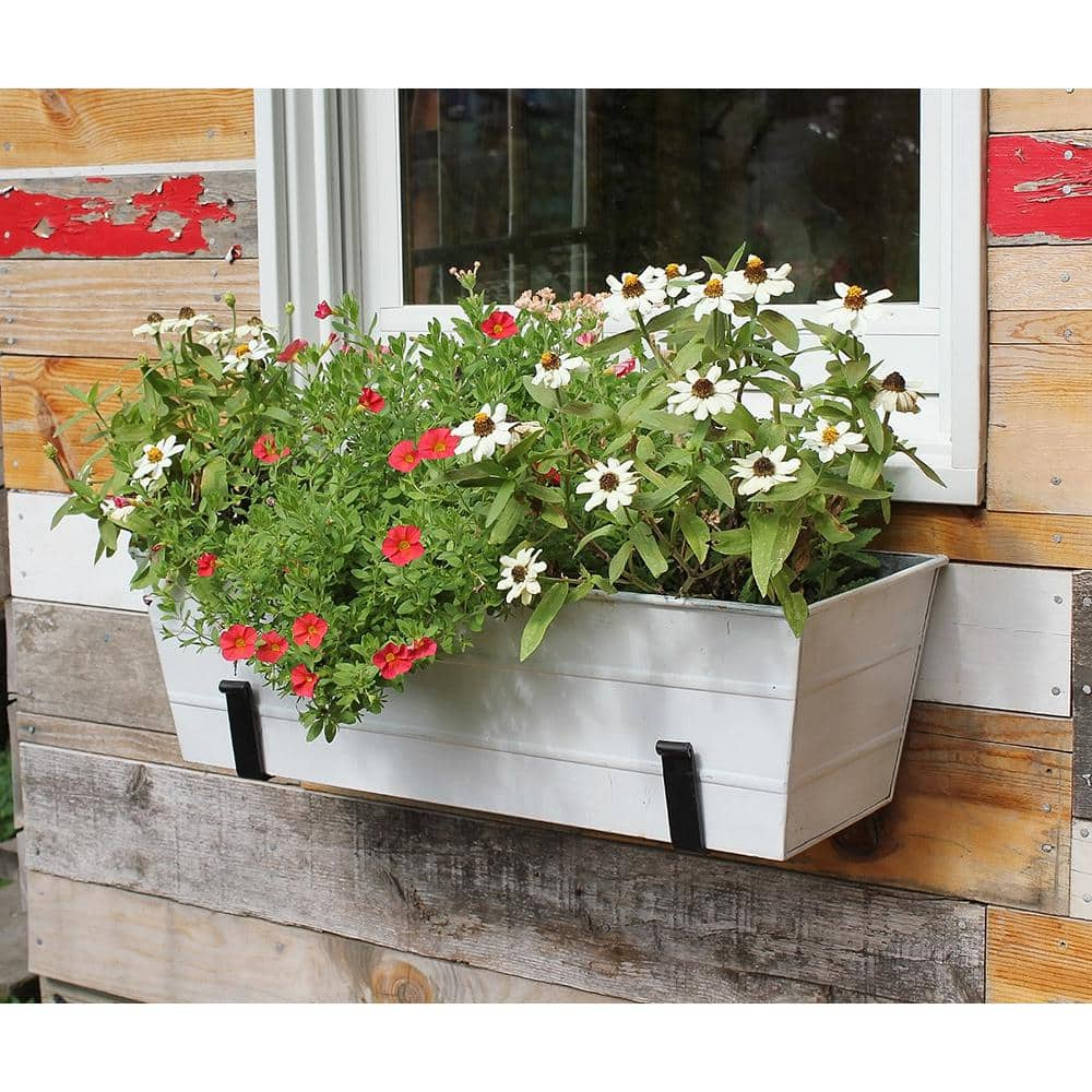 ACHLA DESIGNS 24 in. W Cape Cod White Medium Galvanized Steel Flower Box Planter C-20W