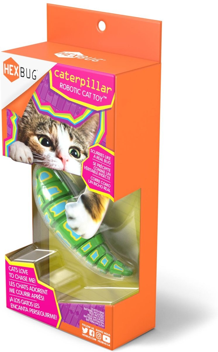 Hexbug Caterpillar Cat Toy