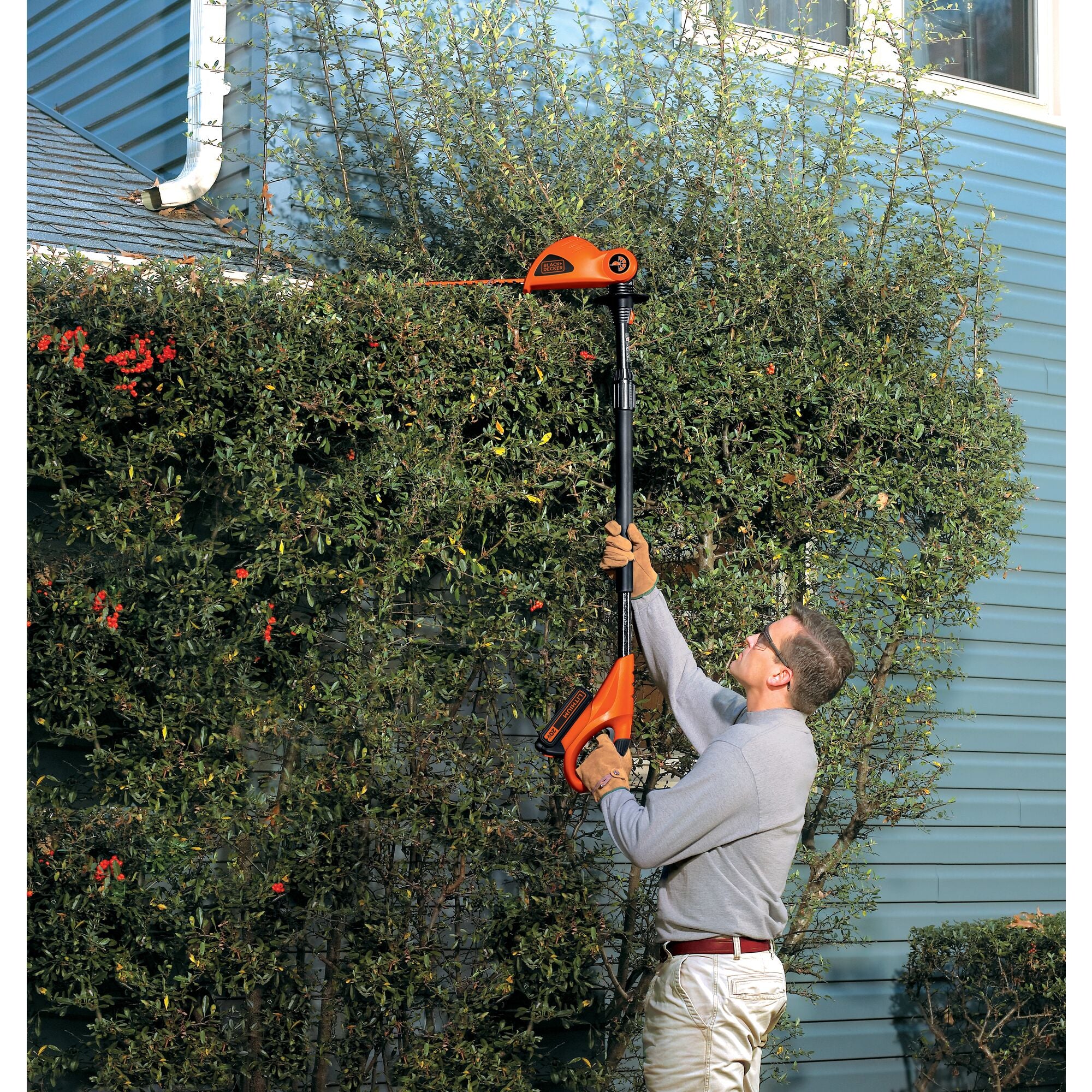 20V MAX* Cordless Pole Hedge Trimmer, 18-Inch