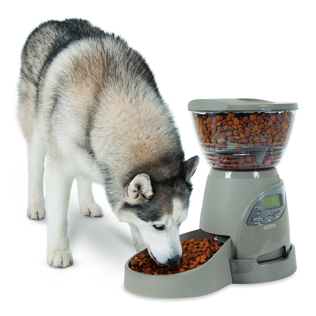 Petmate Portion Right Programmable Pet Feeder， 5 Lbs， for Dogs and Cats