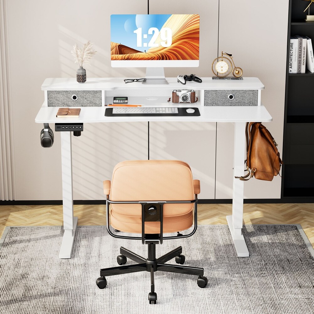 Height Adjustable Electric Standing Desk with 2 Drawer