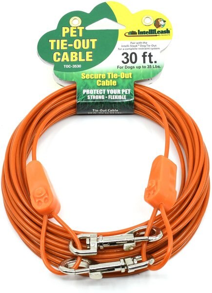 IntelliLeash Dog Tie-Out Cable， Orange