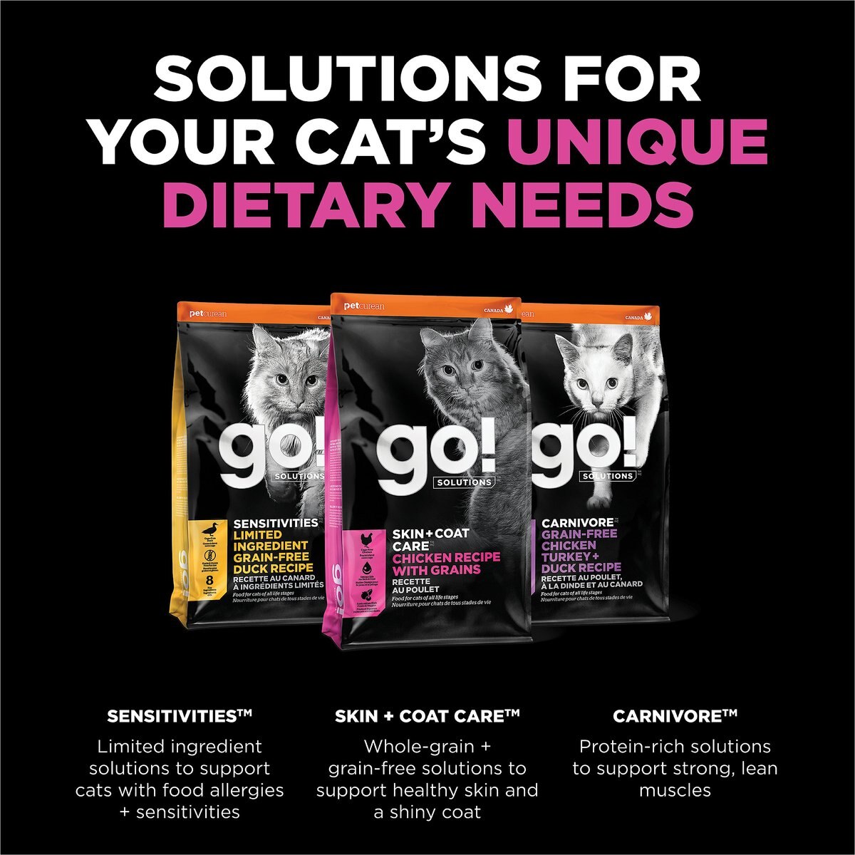 Go! Solutions Skin + Coat Care Chicken Recipe Dry Cat Food